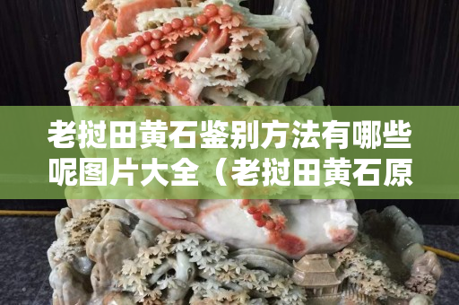 老撾田黃石鑒別方法有哪些呢圖片大全（老撾田黃石原石有收藏價值嗎）