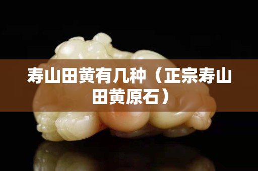 壽山田黃有幾種（正宗壽山田黃原石）