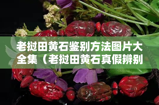 老撾田黃石鑒別方法圖片大全集（老撾田黃石真假辨別）