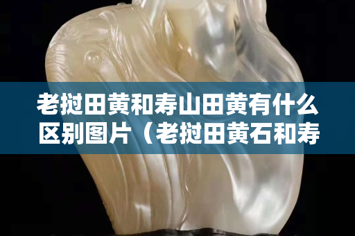 老撾田黃和壽山田黃有什么區別圖片（老撾田黃石和壽山田黃石區別）