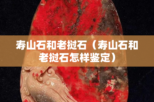 壽山石和老撾石（壽山石和老撾石怎樣鑒定）