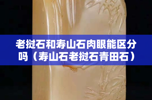 老撾石和壽山石肉眼能區(qū)分嗎（壽山石老撾石青田石）