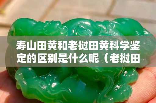 壽山田黃和老撾田黃科學鑒定的區別是什么呢（老撾田黃與壽山石區別）