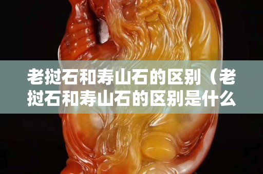 老撾石和壽山石的區別（老撾石和壽山石的區別是什么）
