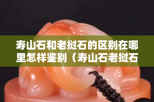 壽山石和老撾石的區別在哪里怎樣鑒別（壽山石老撾石青田石）