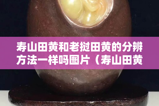 壽山田黃和老撾田黃的分辨方法一樣嗎圖片（壽山田黃種類及特點）