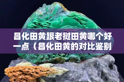 昌化田黃跟老撾田黃哪個好一點（昌化田黃的對比鑒別）