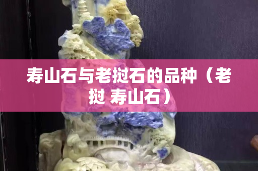 壽山石與老撾石的品種（老撾 壽山石）