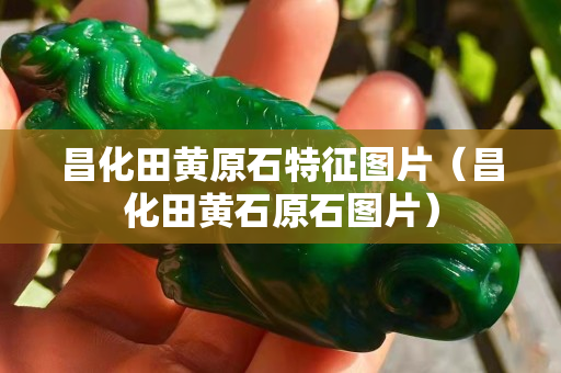 昌化田黃原石特征圖片（昌化田黃石原石圖片）