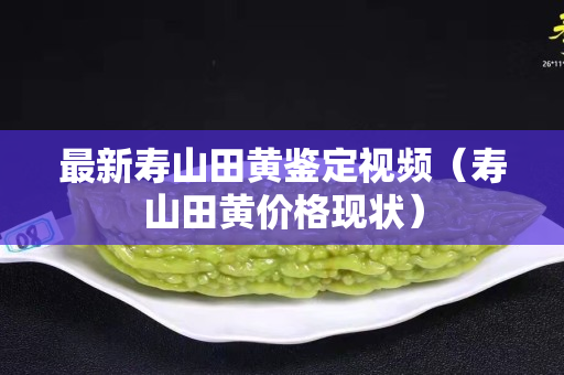 最新壽山田黃鑒定視頻（壽山田黃價格現狀）