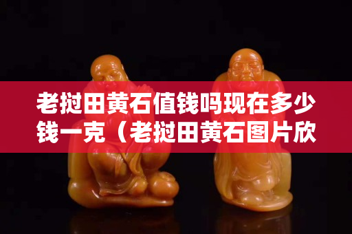 老撾田黃石值錢嗎現在多少錢一克（老撾田黃石圖片欣賞）