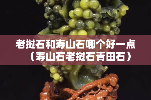 老撾石和壽山石哪個好一點(diǎn)（壽山石老撾石青田石）
