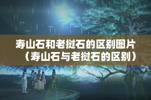 壽山石和老撾石的區(qū)別圖片（壽山石與老撾石的區(qū)別）