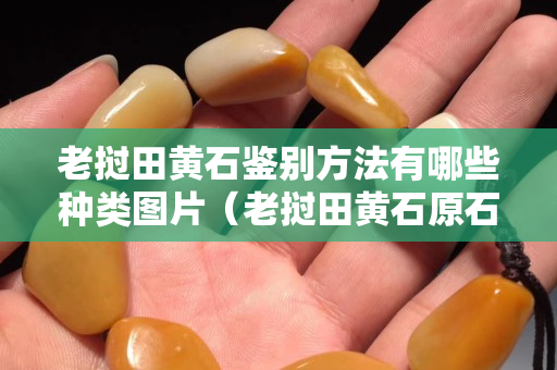 老撾田黃石鑒別方法有哪些種類圖片（老撾田黃石原石圖片）