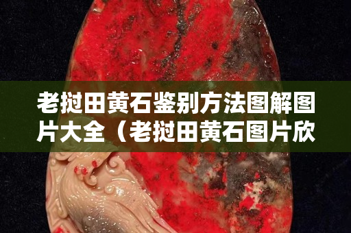 老撾田黃石鑒別方法圖解圖片大全（老撾田黃石圖片欣賞）