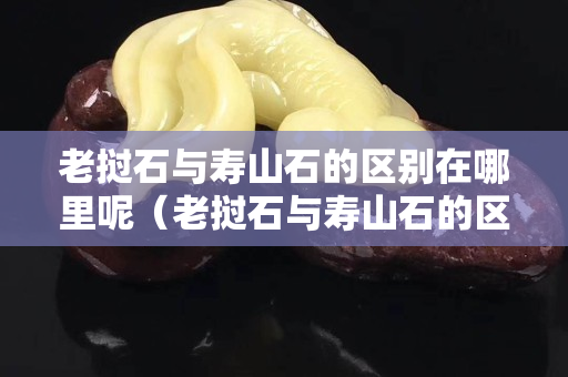 老撾石與壽山石的區別在哪里呢（老撾石與壽山石的區別在哪里呢）