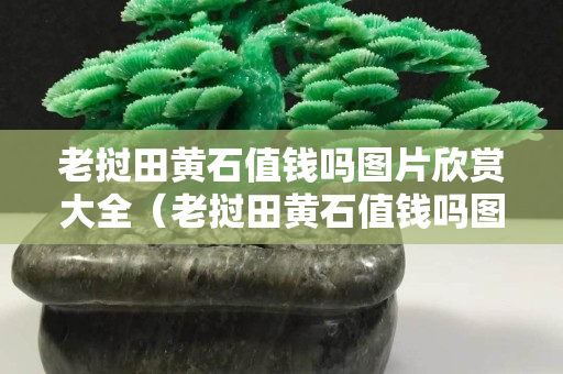 老撾田黃石值錢嗎圖片欣賞大全（老撾田黃石值錢嗎圖片欣賞大全大圖）