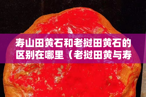 壽山田黃石和老撾田黃石的區別在哪里（老撾田黃與壽山石區別）