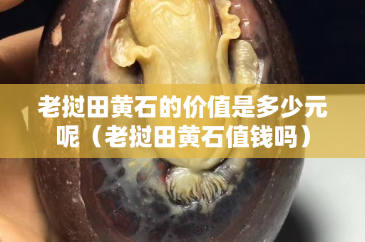 老撾田黃石的價值是多少元呢（老撾田黃石值錢嗎）