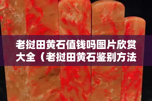 老撾田黃石值錢嗎圖片欣賞大全（老撾田黃石鑒別方法）