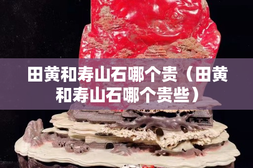 田黃和壽山石哪個(gè)貴（田黃和壽山石哪個(gè)貴些）