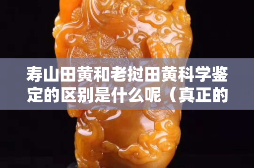 壽山田黃和老撾田黃科學鑒定的區別是什么呢（真正的壽山田黃原石價格）