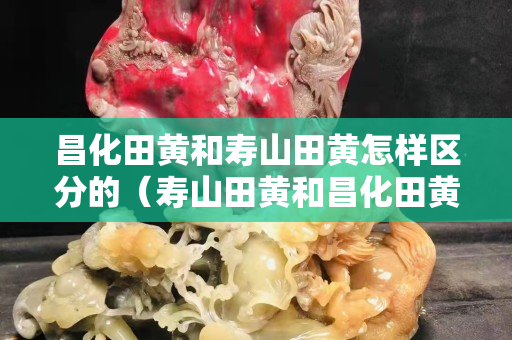 昌化田黃和壽山田黃怎樣區分的（壽山田黃和昌化田黃的區別）