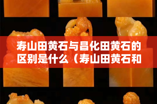 壽山田黃石與昌化田黃石的區(qū)別是什么（壽山田黃石和昌化田黃區(qū)別）