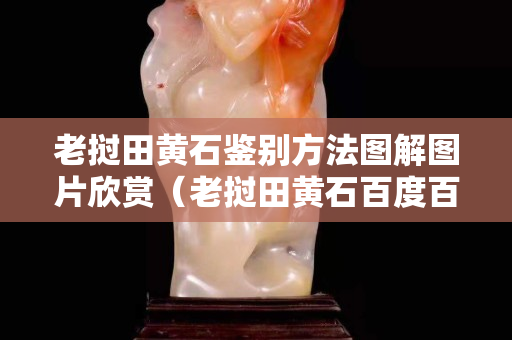老撾田黃石鑒別方法圖解圖片欣賞（老撾田黃石百度百科）
