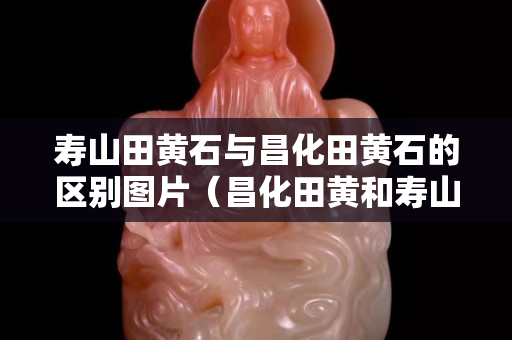 壽山田黃石與昌化田黃石的區別圖片（昌化田黃和壽山田黃怎樣區分）