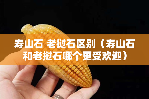 壽山石 老撾石區(qū)別（壽山石和老撾石哪個(gè)更受歡迎）