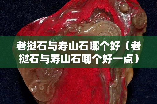 老撾石與壽山石哪個(gè)好（老撾石與壽山石哪個(gè)好一點(diǎn)）