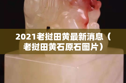 2021老撾田黃最新消息（老撾田黃石原石圖片）