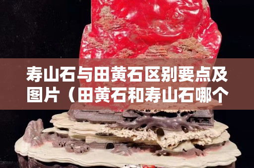 壽山石與田黃石區別要點及圖片（田黃石和壽山石哪個硬度高）