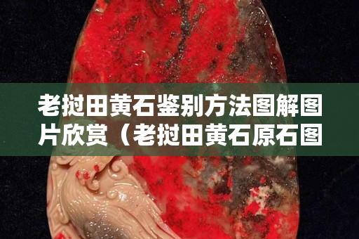 老撾田黃石鑒別方法圖解圖片欣賞（老撾田黃石原石圖片）