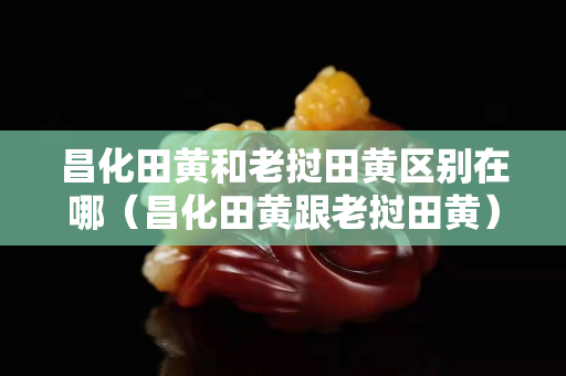 昌化田黃和老撾田黃區別在哪（昌化田黃跟老撾田黃）