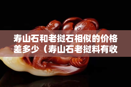 壽山石和老撾石相似的價格差多少（壽山石老撾料有收藏價值嗎）