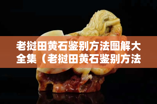 老撾田黃石鑒別方法圖解大全集（老撾田黃石鑒別方法圖解大全集圖片）