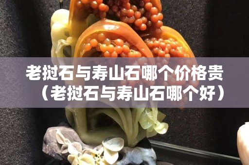 老撾石與壽山石哪個價格貴（老撾石與壽山石哪個好）