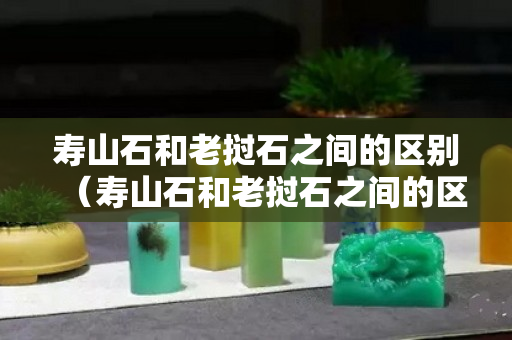 壽山石和老撾石之間的區(qū)別（壽山石和老撾石之間的區(qū)別是什么）