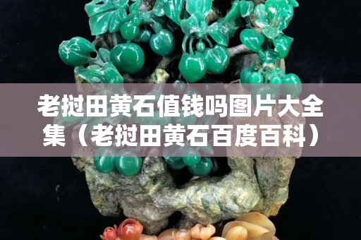 老撾田黃石值錢嗎圖片大全集（老撾田黃石百度百科）
