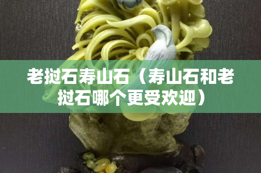 老撾石壽山石（壽山石和老撾石哪個更受歡迎）