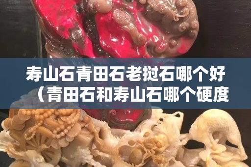 壽山石青田石老撾石哪個好（青田石和壽山石哪個硬度高）