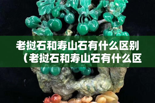 老撾石和壽山石有什么區(qū)別（老撾石和壽山石有什么區(qū)別圖片）