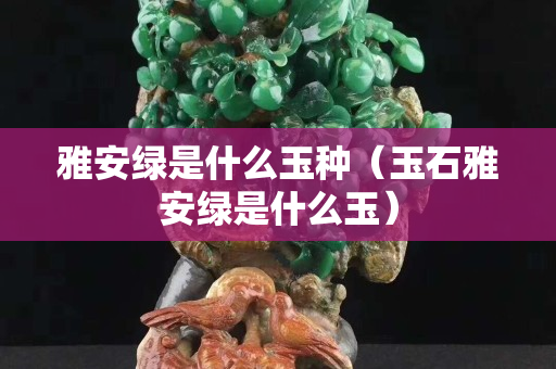 雅安綠是什么玉種（玉石雅安綠是什么玉）
