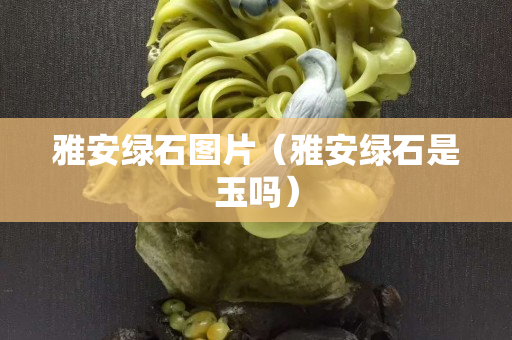 雅安綠石圖片（雅安綠石是玉嗎）