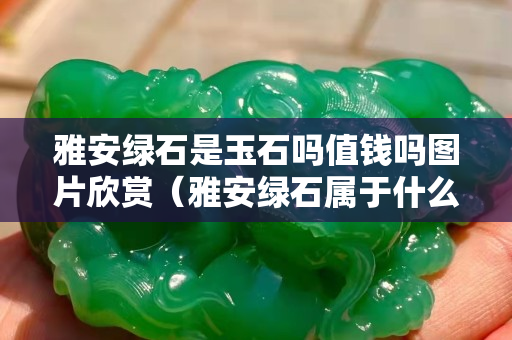 雅安綠石是玉石嗎值錢(qián)嗎圖片欣賞（雅安綠石屬于什么石）