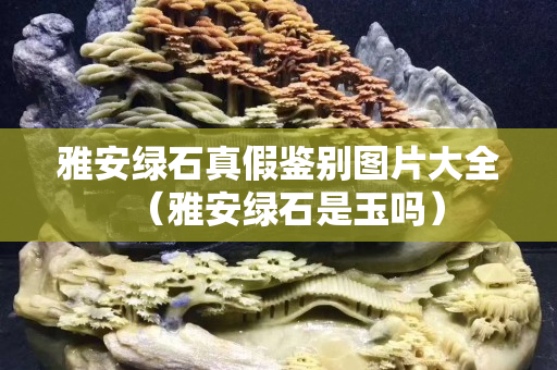 雅安綠石真假鑒別圖片大全（雅安綠石是玉嗎）