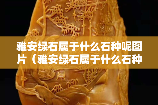 雅安綠石屬于什么石種呢圖片（雅安綠石屬于什么石種呢圖片及價格）