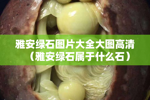 雅安綠石圖片大全大圖高清（雅安綠石屬于什么石）